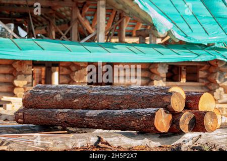 Concept building houses from solid round wood. Logs work lie against backdrop of skeleton construction site. Stock Photo