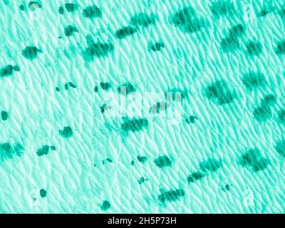 Marine Ogee Pattern. Tie Dye Background. Paint Stock Photo