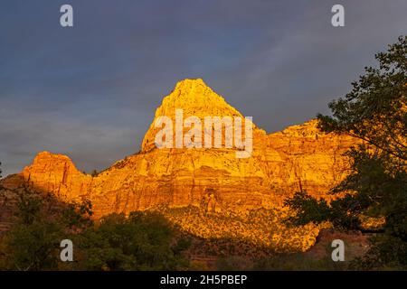 This is a view of Bridge Mountain in the warm light of the setting sun in Zion National Park, Springdale, Washington County, Utah, USA. Stock Photo