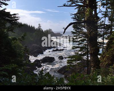 View of harsh coast with strong surf and rugged rocks viewed from Wild Pacific Trail in Ucluelet on Vancouver Island, British Columbia, Canada. Stock Photo