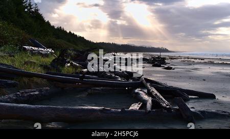 Stunning view of Long Beach at the wild Pacific coast near Tofino on Vancouver Island, Canada with driftwood in front and dramatic sky with bright sun. Stock Photo