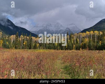 Autumn landscape with path leading through colorful meadow with forest and snow-capped Mount Robson in background in the Rocky Mountains, BC, Canada. Stock Photo