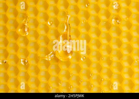 Macro photo drops of honey flowing down on yellow wax, texture background. Stock Photo