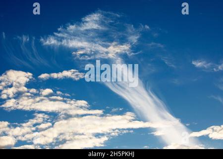 High level cirrus clouds and lower level cumulus clouds in blue sky in Alberta, Canada Stock Photo