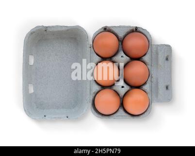 Six Brown eggs on cardboard box isolated on white background Stock Photo