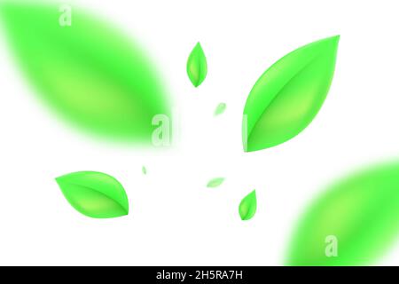Green leaf background falling, realistic leafs wallpaper on white backdrop. Stock Vector