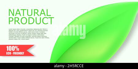 Green leaf background falling, realistic leafs wallpaper on white backdrop. Stock Vector