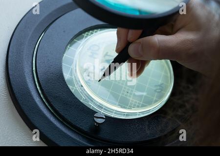 Man writes with felt-tip pen on a Petri dish under magnifying glass Stock Photo