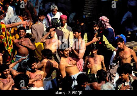 Pakistan, Sind province, Sehwan e Sharif, Sufi saint Lal Shabaz Qalandar shrine, annual Urs festival Stock Photo