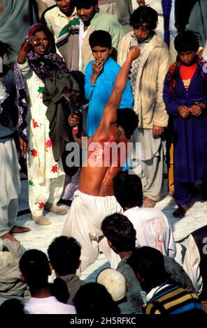 Pakistan, Sind province, Sehwan e Sharif, Sufi saint Lal Shabaz Qalandar shrine, annual Urs festival Stock Photo