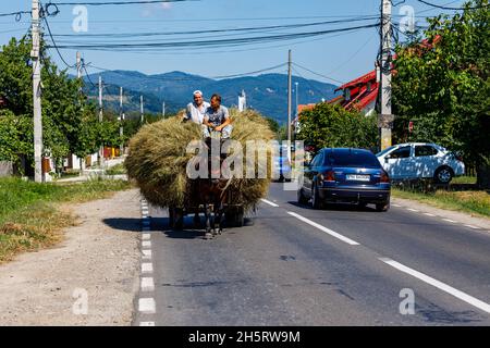 Farmer at hay harvest with horse carriage in Romania Stock Photo