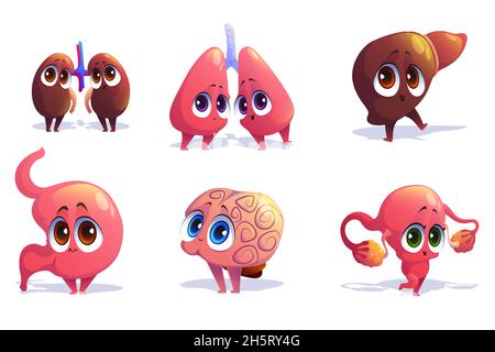 Cute characters of human internal organs isolated on white background. Vector set of cartoon funny brain, liver, kidneys, lungs, uterus with ovaries and stomach Stock Vector