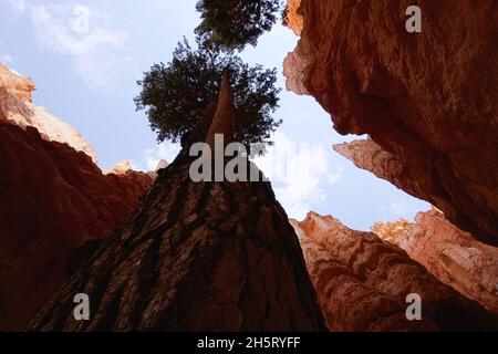 Shapes and Colours of rocks in Bryce Canyon USA Stock Photo