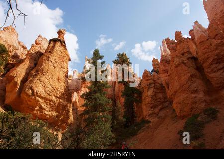 Shapes and Colours of rocks in Bryce Canyon USA Stock Photo