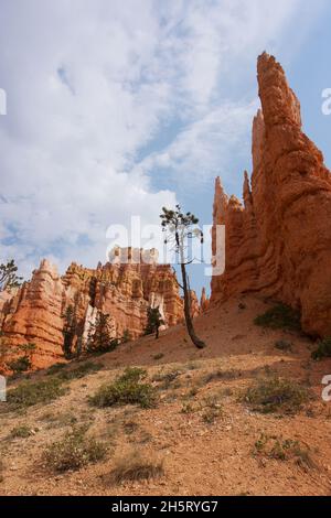 Shapes and Colours of rocks in Bryce Canyon USA Stock Photo