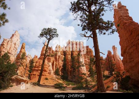 Shapes and Colours of rocks in Bryce Canyon USA Stock Photo