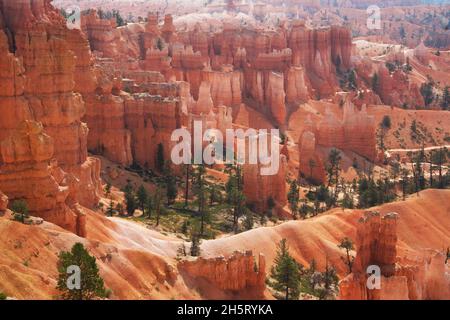 Shapes and Colours of rocks in Bryce Canyon USA Stock Photo