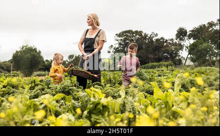 Self-sustainable family harvesting fresh vegetables in an organic garden. Happy young single mother holding a basket with fresh produce while standing Stock Photo