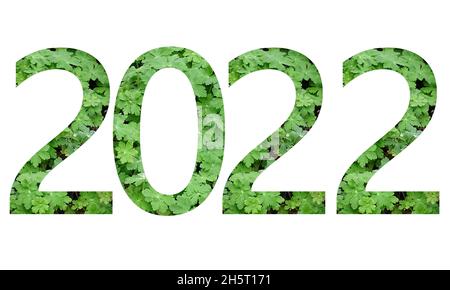 2022 text for the new year, text with numbers made from green geranium leaves, isolated on a white background Stock Photo