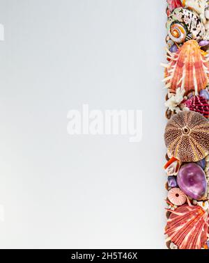 sea shell border with room for text Stock Photo