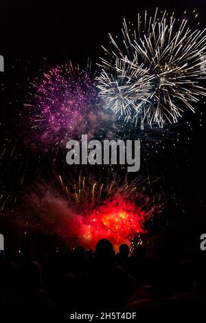 Fireworks exploding against a night sky Stock Photo