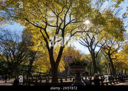 Central Park is popular in the fall season, New York City, USA Stock Photo