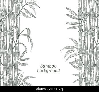 Frame made of bamboo branches. Ink sketch on a white background, engraved on both sides. Vector illustration. Stock Vector