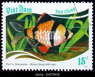 VIETNAM - CIRCA 1988: a stamp printed in Vietnam shows tiger barb, puntius tetrazona, is a species of tropical fish, circa 1988 Stock Photo