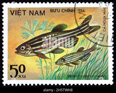 VIETNAM - CIRCA 1984: a stamp printed in Vietnam shows zebrafish, brachydanio rerio, is a species of freshwater tropical fish, circa 1984 Stock Photo