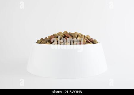 Food for a dog or cat. Dry food for kittens or puppies close-up in a white bowl on a white background. Concept - advertising of dry food for pets. Cop Stock Photo