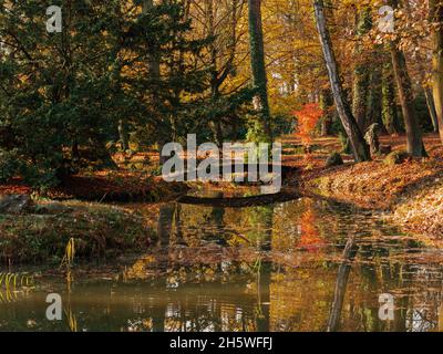 Manor park in the city of Ilowa in Poland. Pond, artificial water reservoir. It is autumn, with fallen brown leaves lying on the shores. Stock Photo