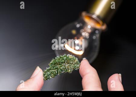 Collector hand holding green moldavite gemstone in backlight. Black background. Rare vitreous silica mineral of cosmic origin in light bulb white rays. Stock Photo
