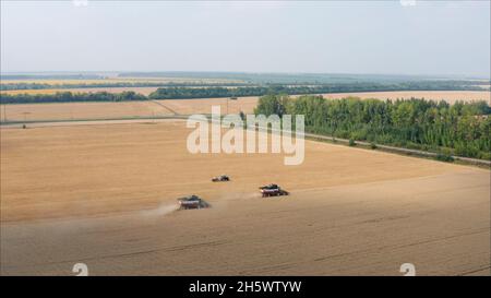 On the background the combine harvester collects the remains of wheat. New harvesters on the field collect wheat. Panoramic view on the field of colle Stock Photo