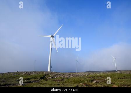 Green energy of a wind turbine in the Faroe Islands Stock Photo
