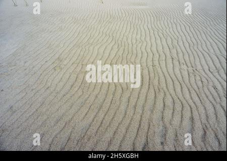 Natural sea sand and river sand. Sea sand. Sandy background. Sandy texture. Stock Photo