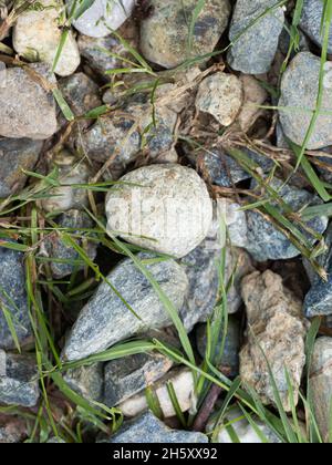 round stones on the ground in the garden Stock Photo