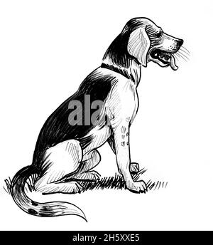 Sitting hunting dog. Ink black and white drawing Stock Photo