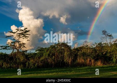 storm clouds and rainbow in the peruvian jungle Stock Photo