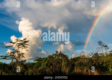 storm clouds and rainbow in the peruvian jungle Stock Photo