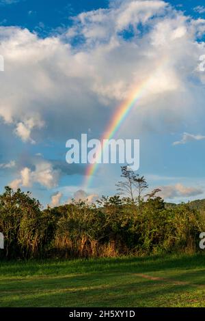 storm clouds and rainbow in the peruvian jungle Stock Photo