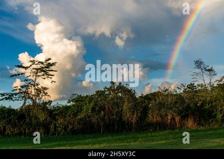 storm clouds and rainbow in the peruvian jungle Stock Photo