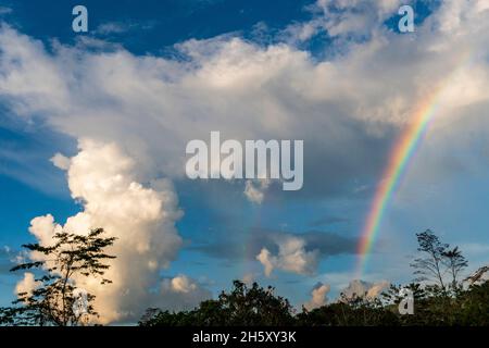 storm clouds and rainbow in the peruvian jungle Stock Photo