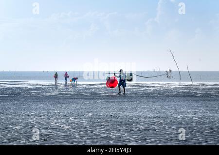 Can Gio District, Ho Chi Minh City, Vietnam - October 23, 2021: Fishermen harvest clams on the beach at low tide in Can Gio district, HCMC, Vietnam Stock Photo