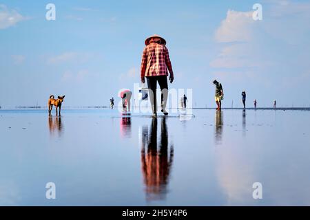 Can Gio District, Ho Chi Minh City, Vietnam - October 23, 2021: Fishermen harvest clams on the beach at low tide in Can Gio district, HCMC, Vietnam Stock Photo