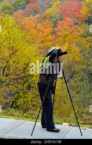 Photographer in autumn along the Newfound Gap Road, Great Smoky Mountains National Park, Tennessee, USA Stock Photo