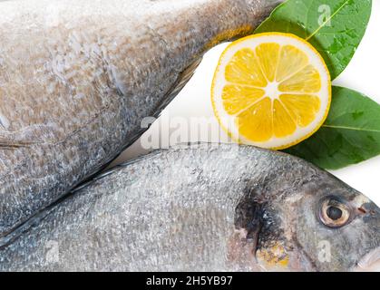 raw dorado fish with lemon on white background Stock Photo