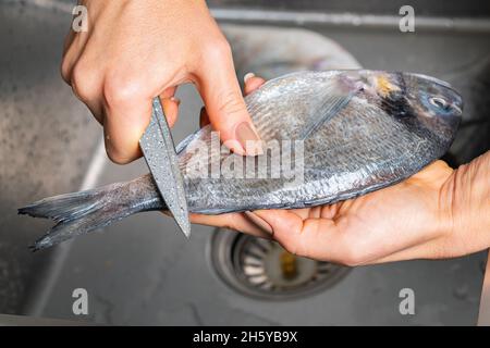 Cleaning Fish Scale Market Stock Photo 93433609