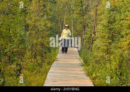 Hiking along the Cameron Falls Trail boardwalk, Yellowknife, Ingraham Trail, Northwest Territories, Canada Stock Photo