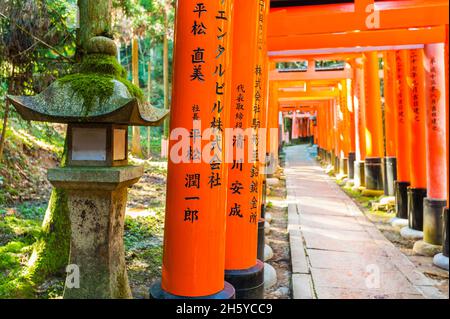 The beginning of one of the many Torii Gates adorning the many walking tracks around the Fushimi Inari Taisha shinto shrine in Kyoto, Japan. Stock Photo