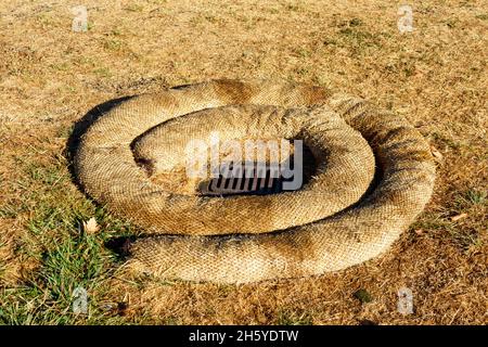 Straw wattle around sewer grate manhole cover to stop harmful substances from entering the stormwater system during landscaping, construction and main Stock Photo